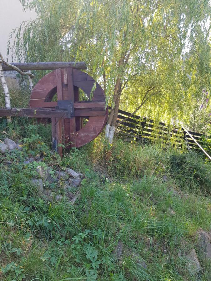 Pensiunea Daria Putna Exteriör bild